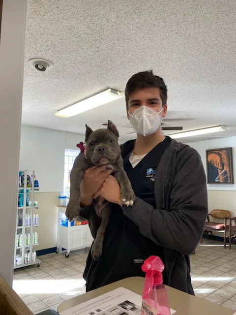 St Francis Animal Hospital 4