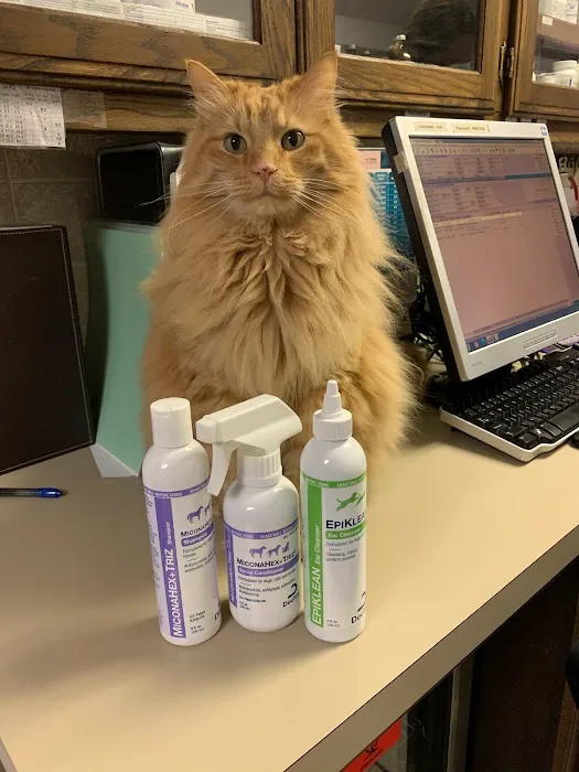 St Francis Animal Hospital 10