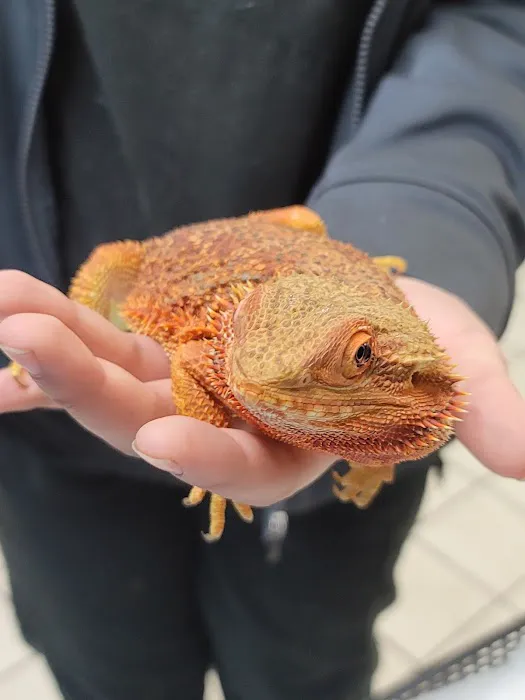 St Francis Animal Hospital 6