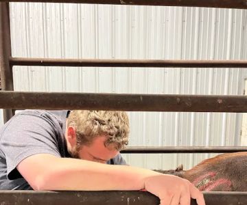 Flying Cow Genetics