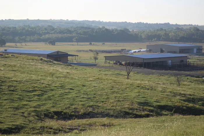 Flying Cow Genetics 6