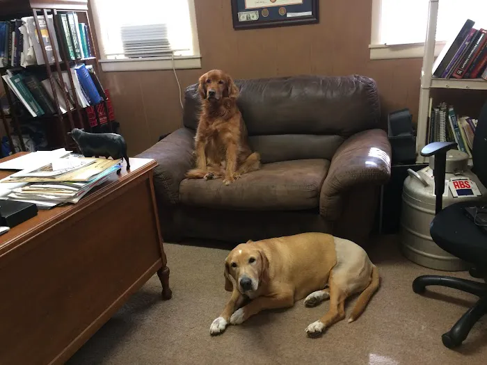 Todd County Animal Clinic, Inc. 3