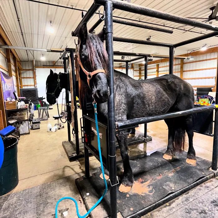 Todd County Animal Clinic, Inc. 6
