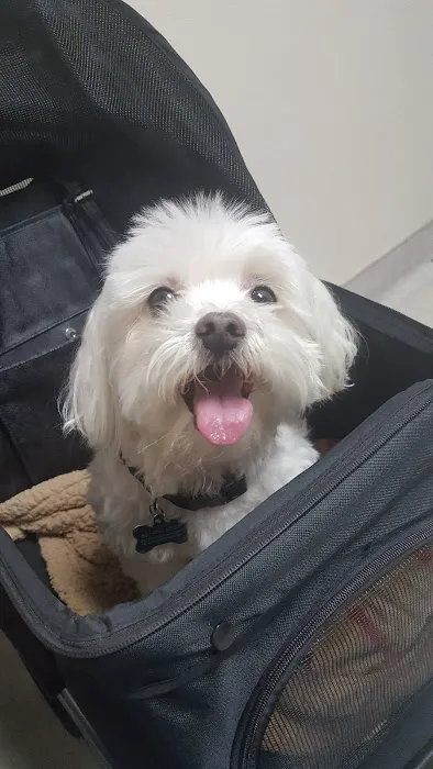 Palm Plaza Pet Hospital 9