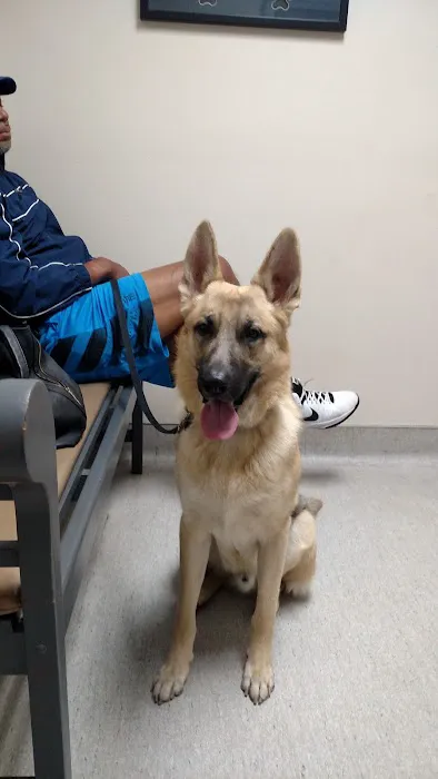 Palm Plaza Pet Hospital 5