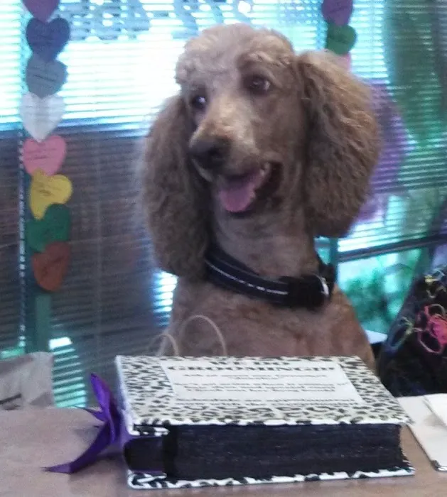 Palm Plaza Pet Hospital 3