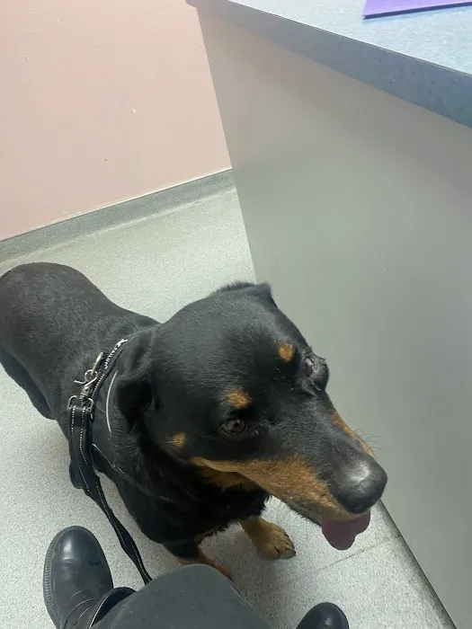 Palm Plaza Pet Hospital 6