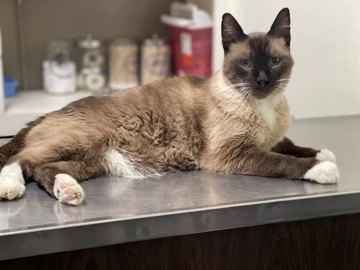 High Desert Animal Care Hospital 3