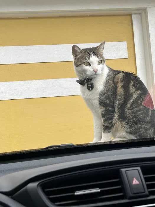 High Desert Animal Care Hospital 1