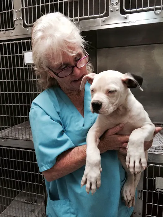 High Desert Animal Care Hospital 2