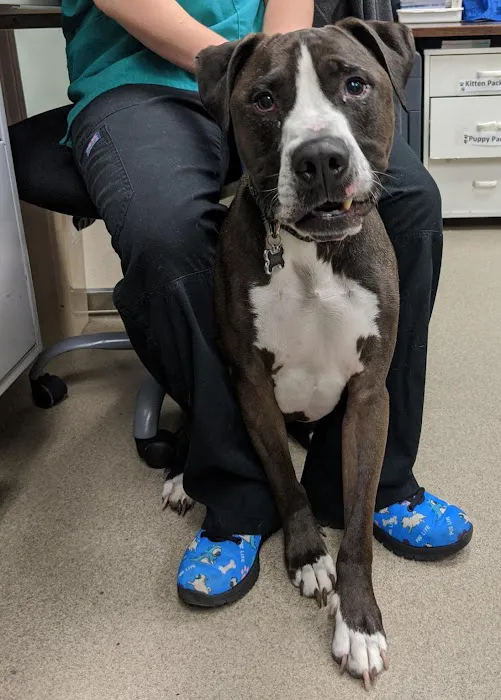 Lancaster Pet Clinic 2