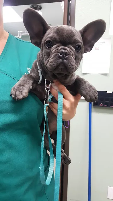 Lancaster Pet Clinic 4