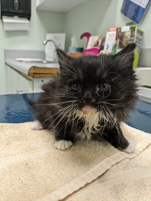 Lancaster Pet Clinic 7