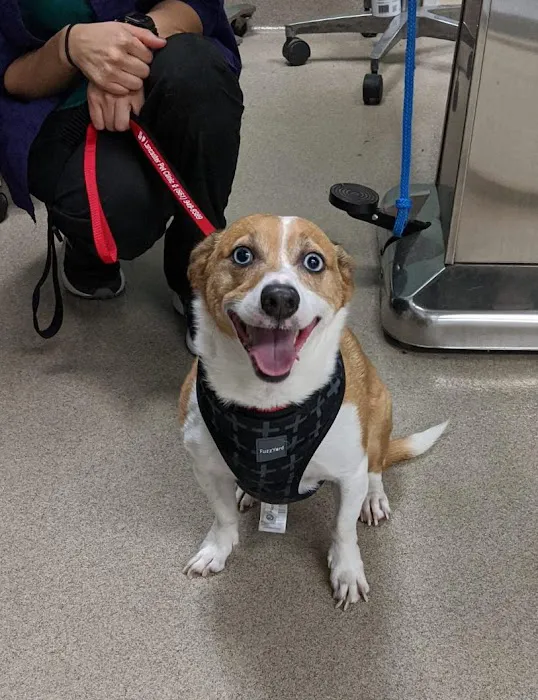 Lancaster Pet Clinic 3