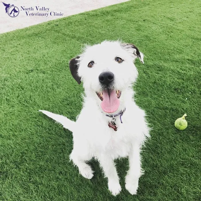 North Valley Veterinary Clinic: Bosma Larry F DVM 8