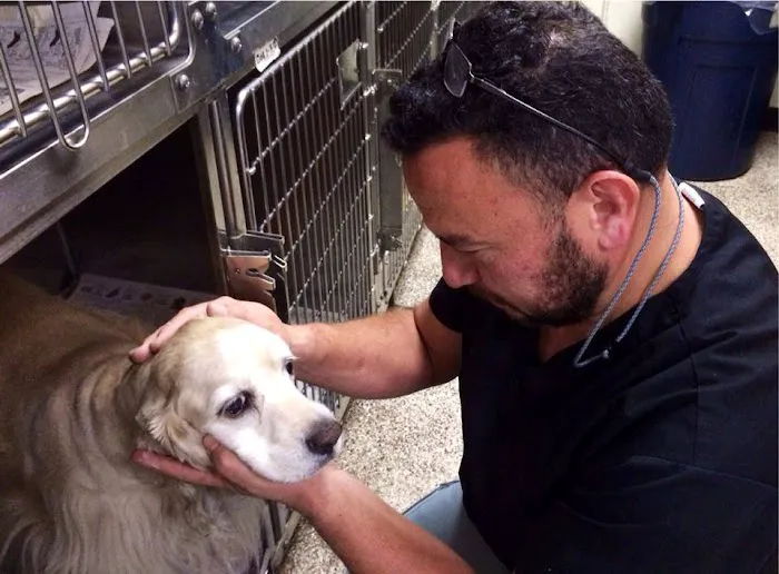 North Valley Veterinary Clinic: Bosma Larry F DVM 4