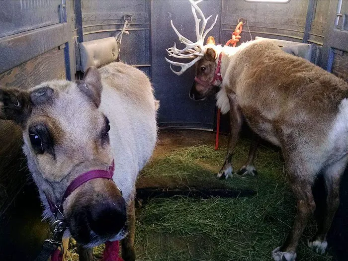 North Valley Veterinary Center And Boarding 7