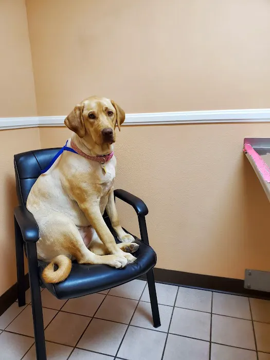 North Valley Veterinary Center And Boarding 4