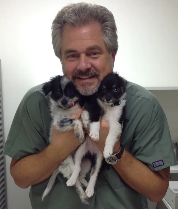 The Village Veterinary Hospital 6