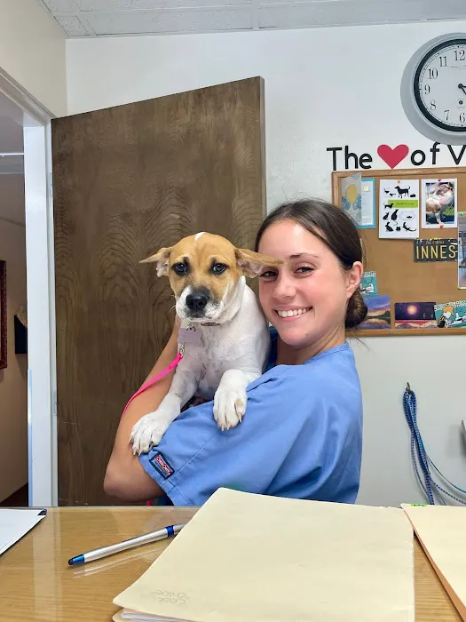The Village Veterinary Hospital 4