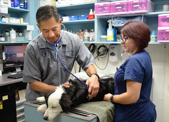 Anza Animal Clinic 9
