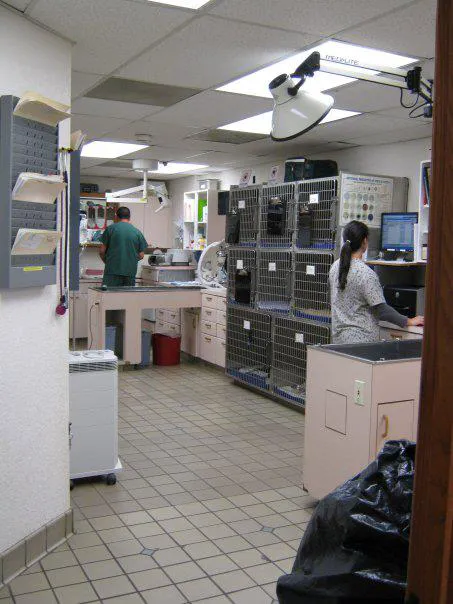 Pacific Palisades Veterinary Center 4