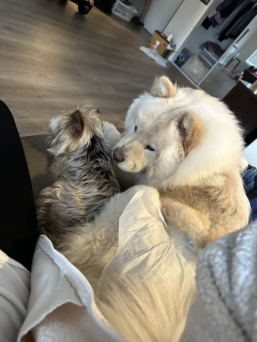 Malibu Vet Clinic 9