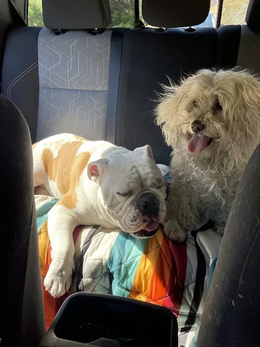 Malibu Vet Clinic 5