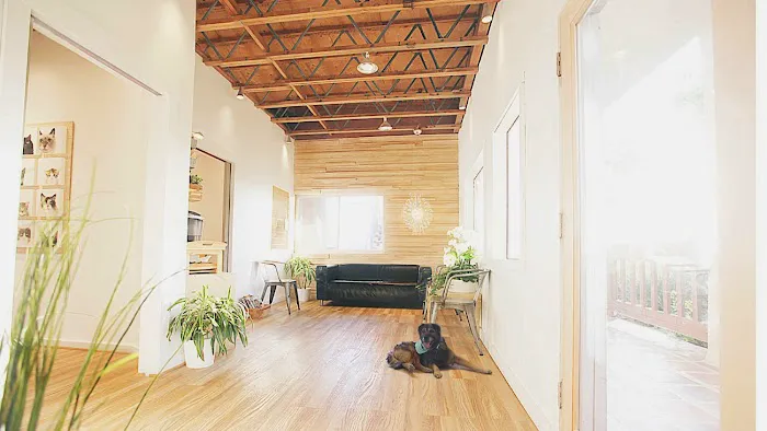 Malibu Vet Clinic 3