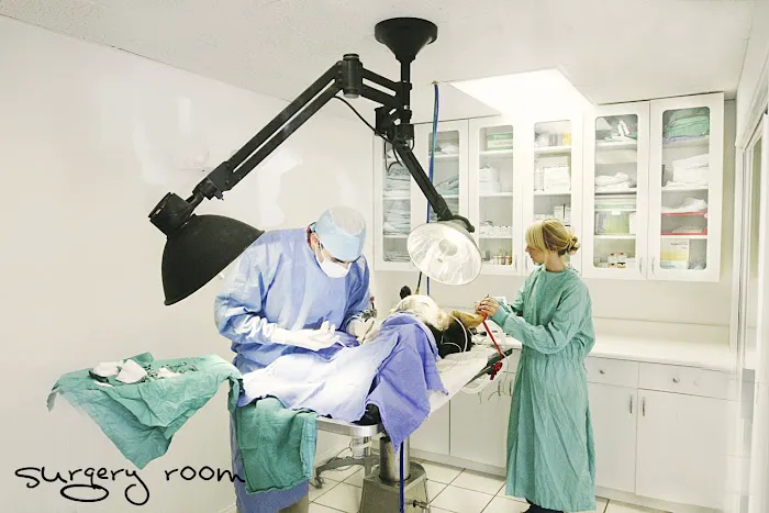 Malibu Vet Clinic 2