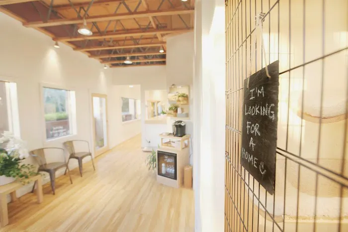 Malibu Vet Clinic 1