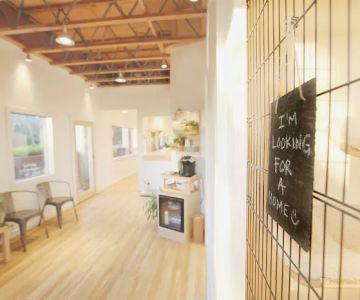 Malibu Vet Clinic