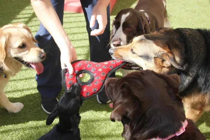 Conejo Valley Veterinary Hospital 7