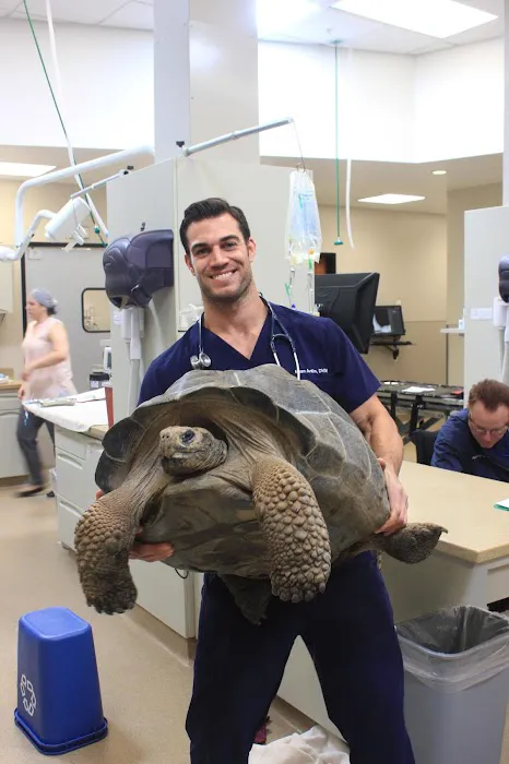 Conejo Valley Veterinary Hospital 9