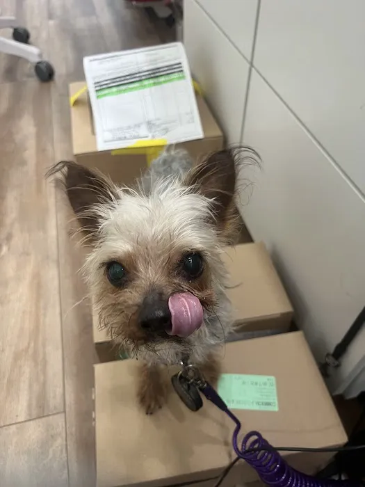 Skyline Animal Hospital 7