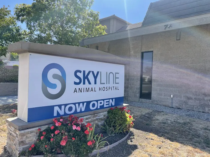 Skyline Animal Hospital 9