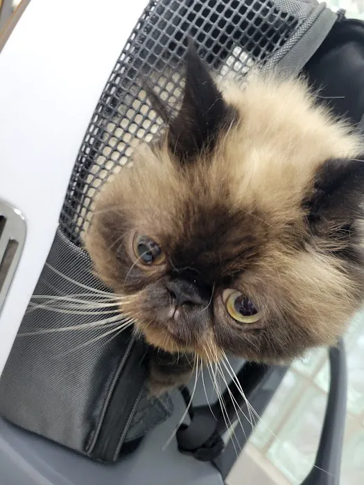 Paw Works Veterinary Hospital 5