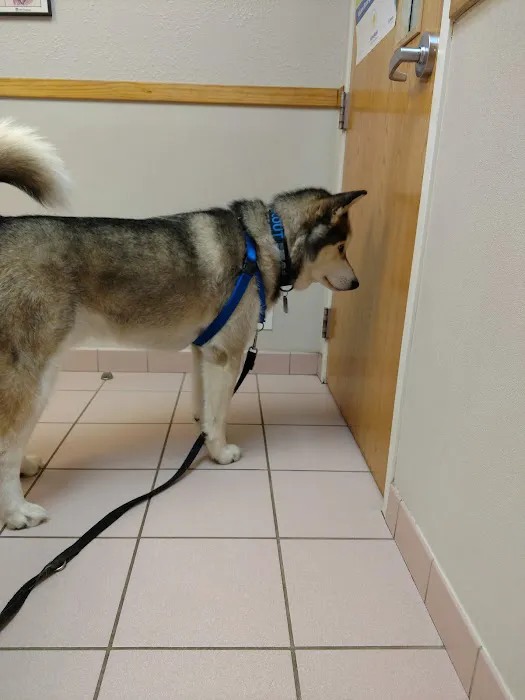 Community Animal Hospital 2