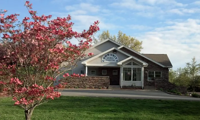 Community Animal Hospital 10