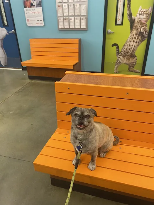 Banfield Pet Hospital 3