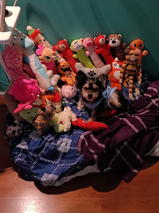 Banfield Pet Hospital 8