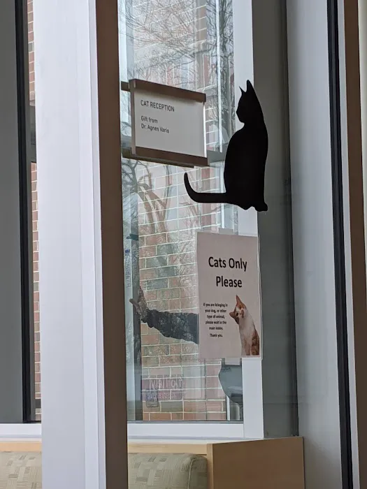 Tufts Animal Behavior Clinic 8