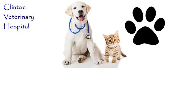Clinton Veterinary Hospital 9