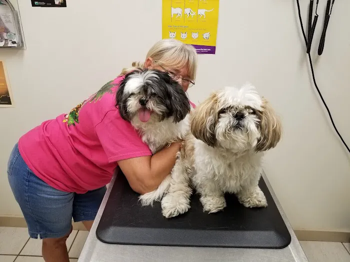Clinton Veterinary Hospital 8