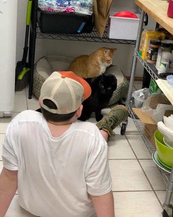 Clinton Veterinary Hospital 3
