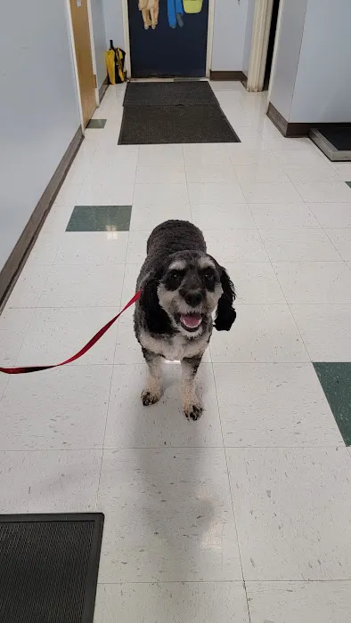 Leominster Animal Hospital 4