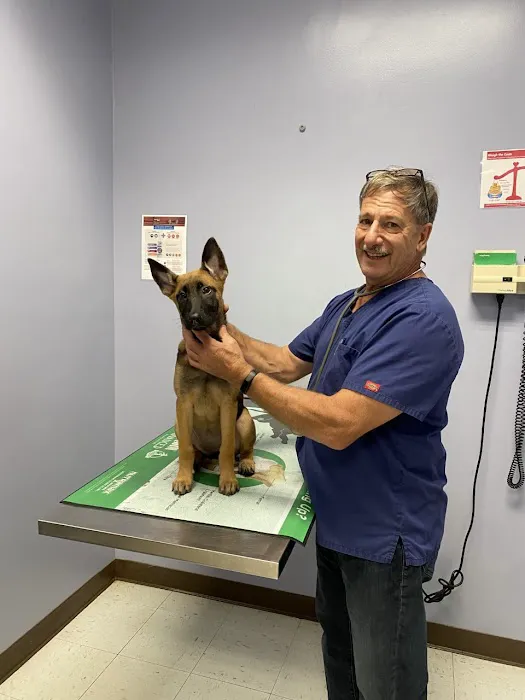 Leominster Animal Hospital 6