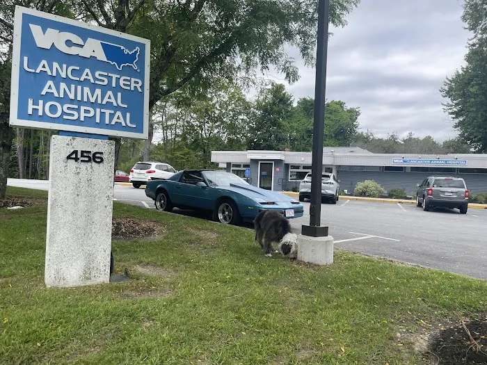 VCA Lancaster Animal Hospital 10