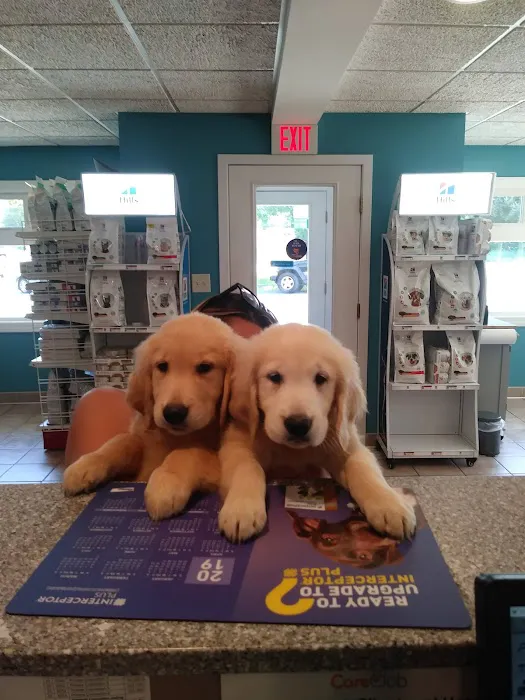 VCA Lancaster Animal Hospital 6