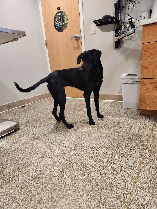 VCA Lancaster Animal Hospital 1